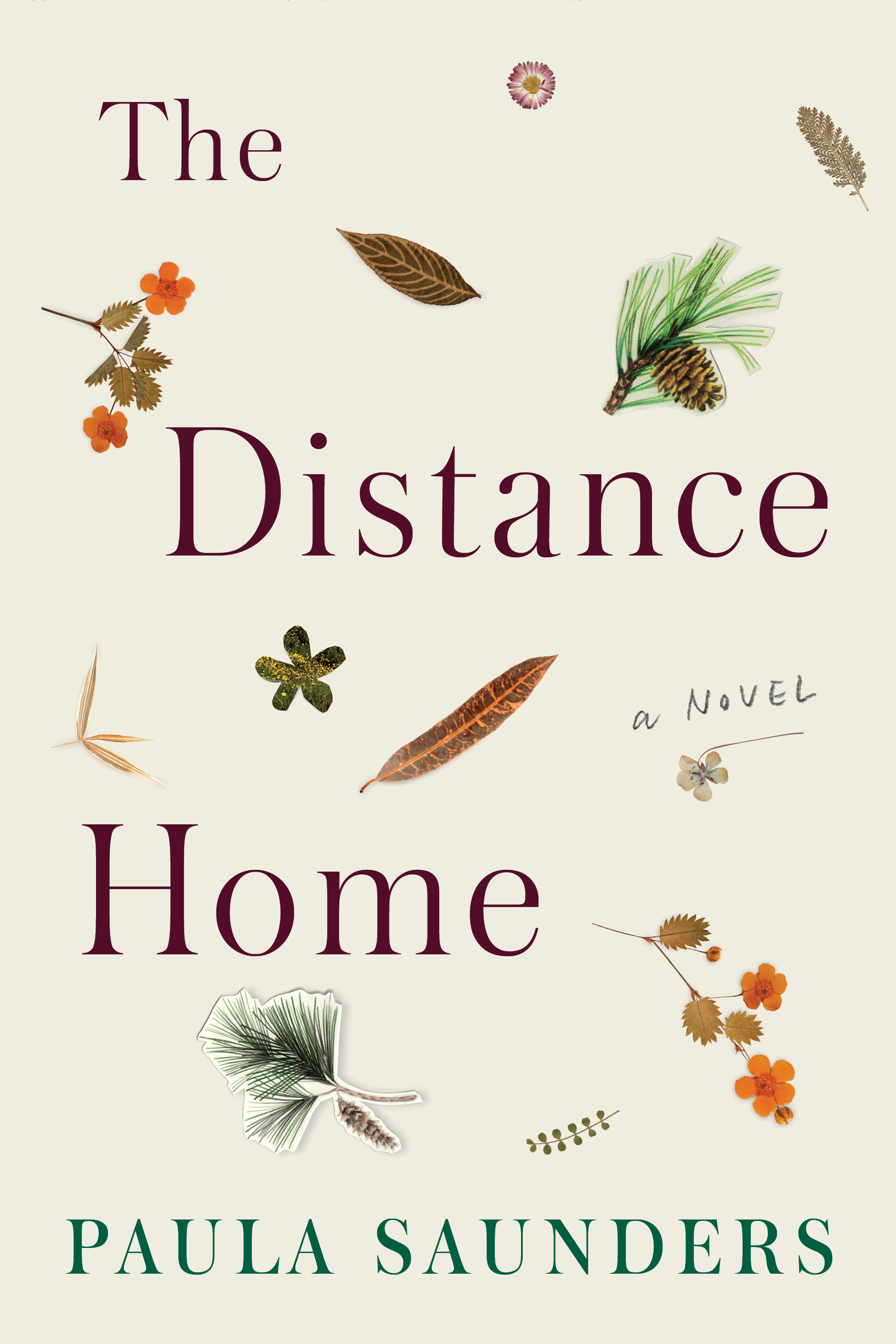 The Distance Home book by Paula Saunders