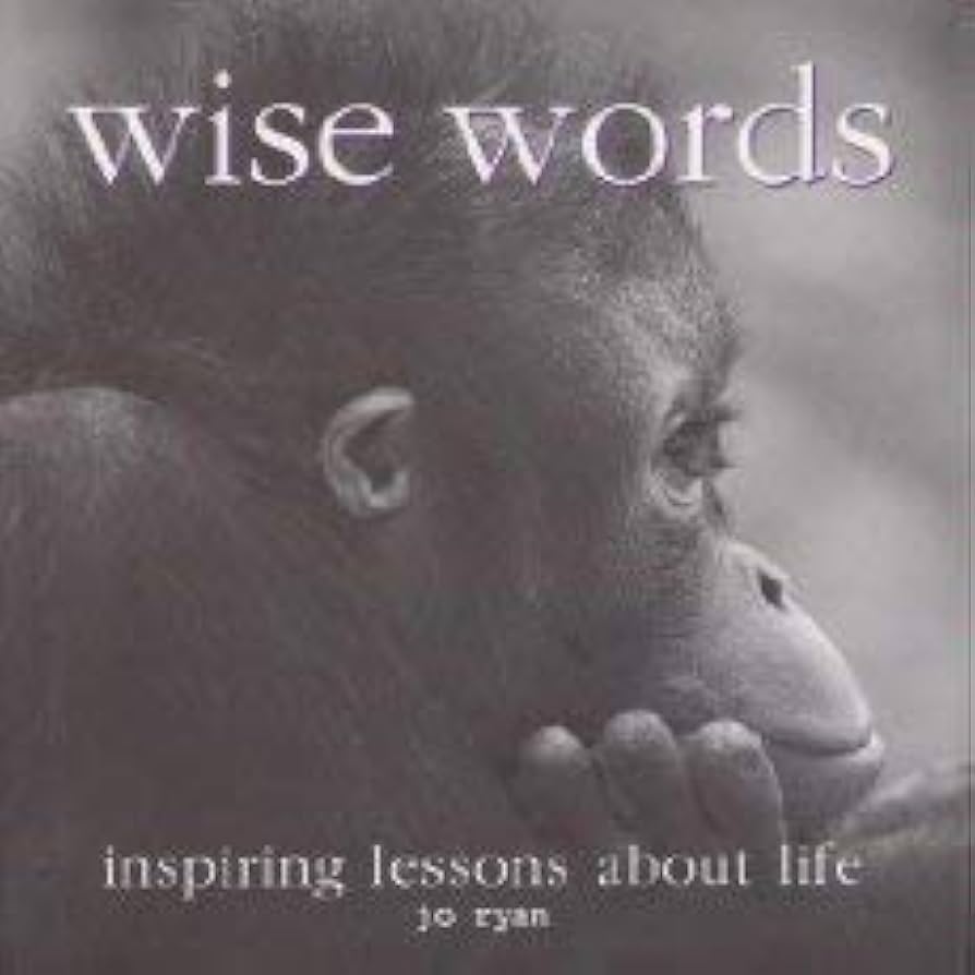 Wise Words: Inspiring Lessons About Life book by Jo Ryan