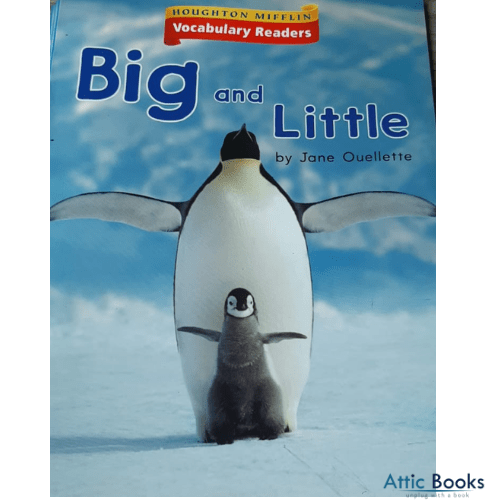 Big and Little (Vocabulary Readers)