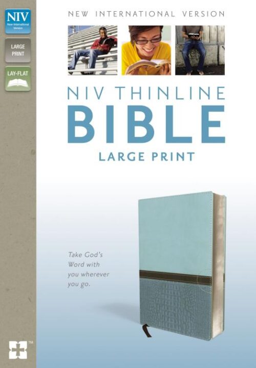 NIV, Thinline Bible, Large Print