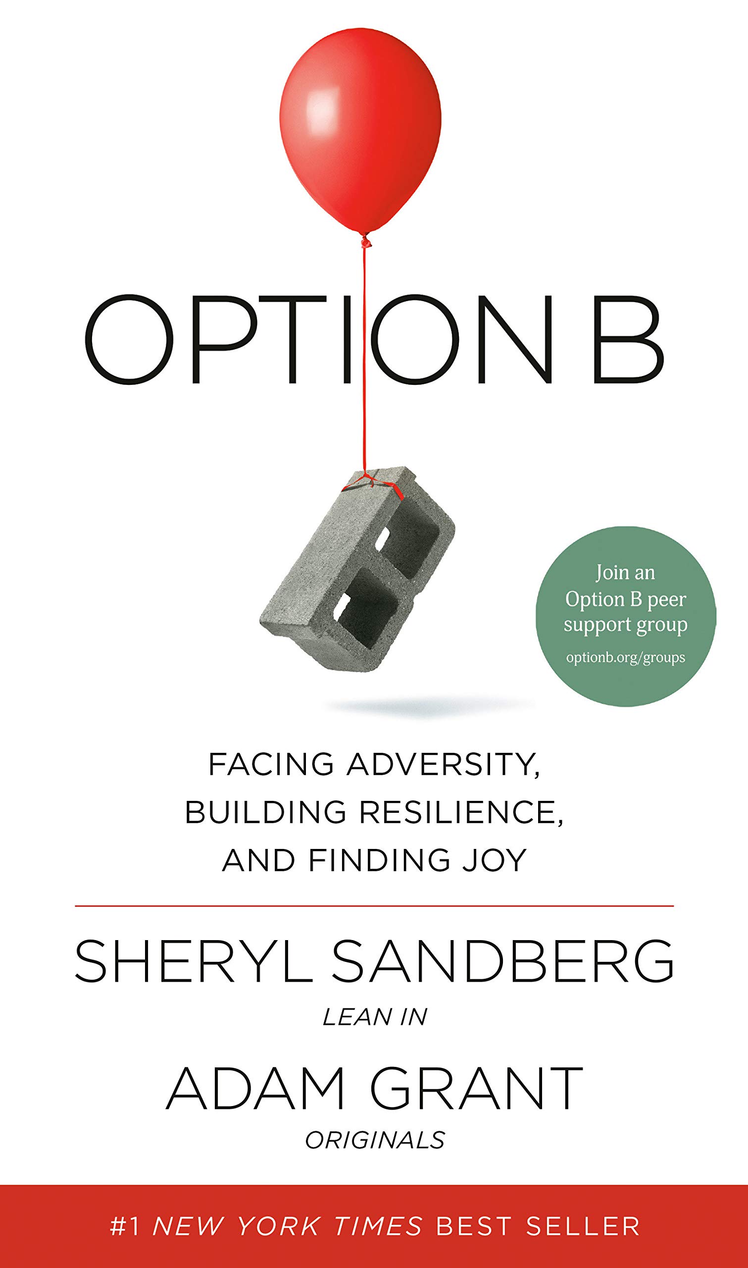 Option B : Facing Adversity, Building Resilience, and Finding Joy