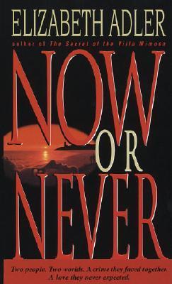 Now or Never : A Novel