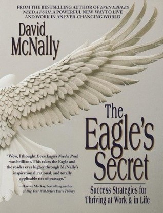 The Eagle's Secret book by David McNally