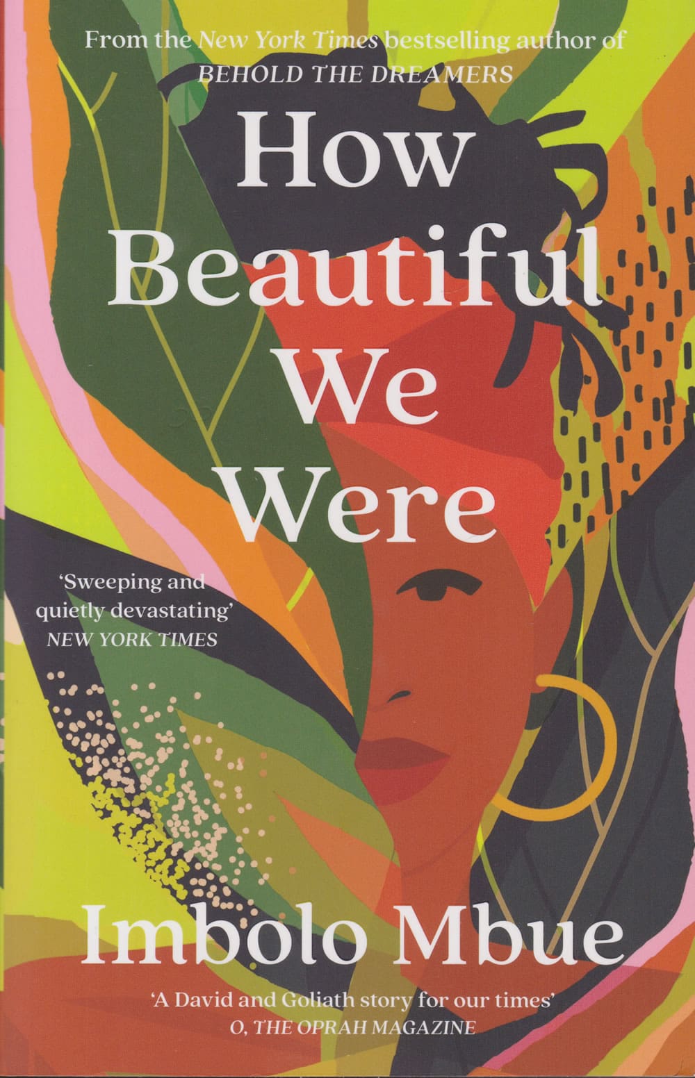 How Beautiful We Were book by Imbolo Mbue