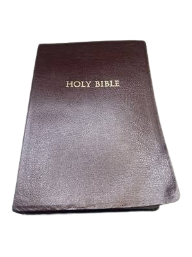 Holy Bible Niv Bonded Leather by zondervan
