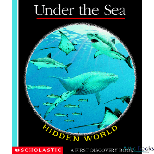 Under the Sea (First Discovery Books)