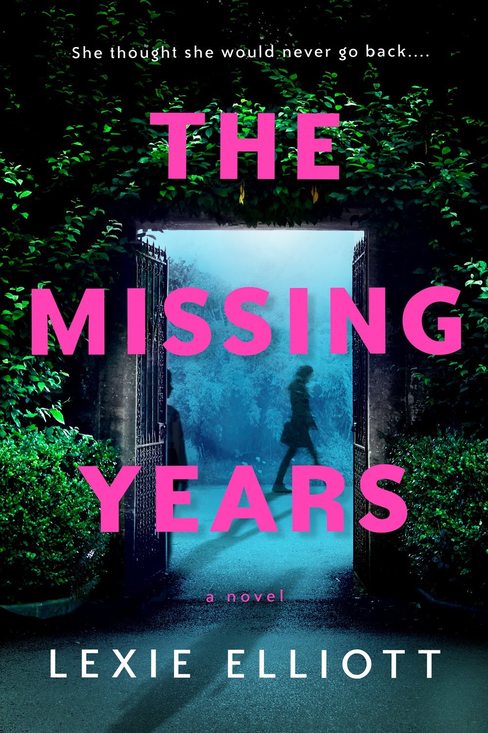 The Missing Years book by Lexie Elliott