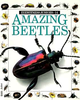 Amazing Beetles (Eyewitness Juniors)