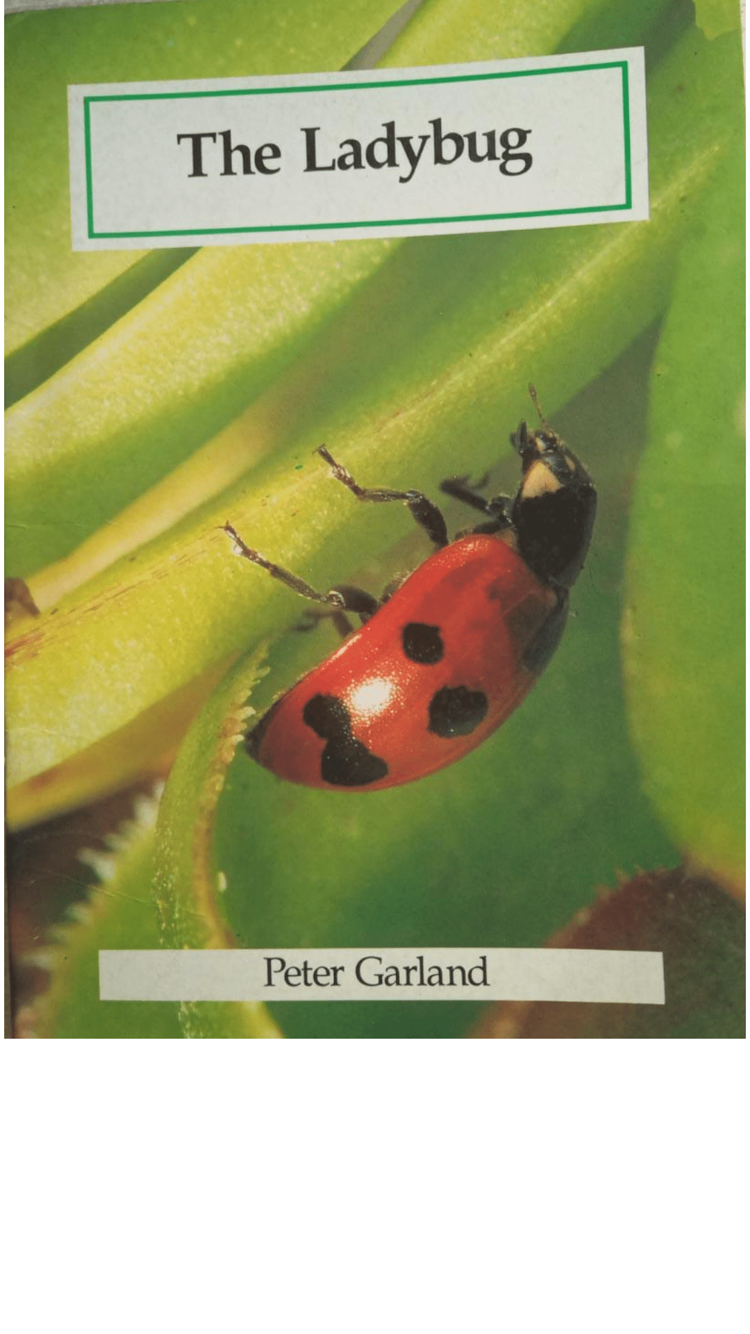 The Ladybug by Peter Garland
