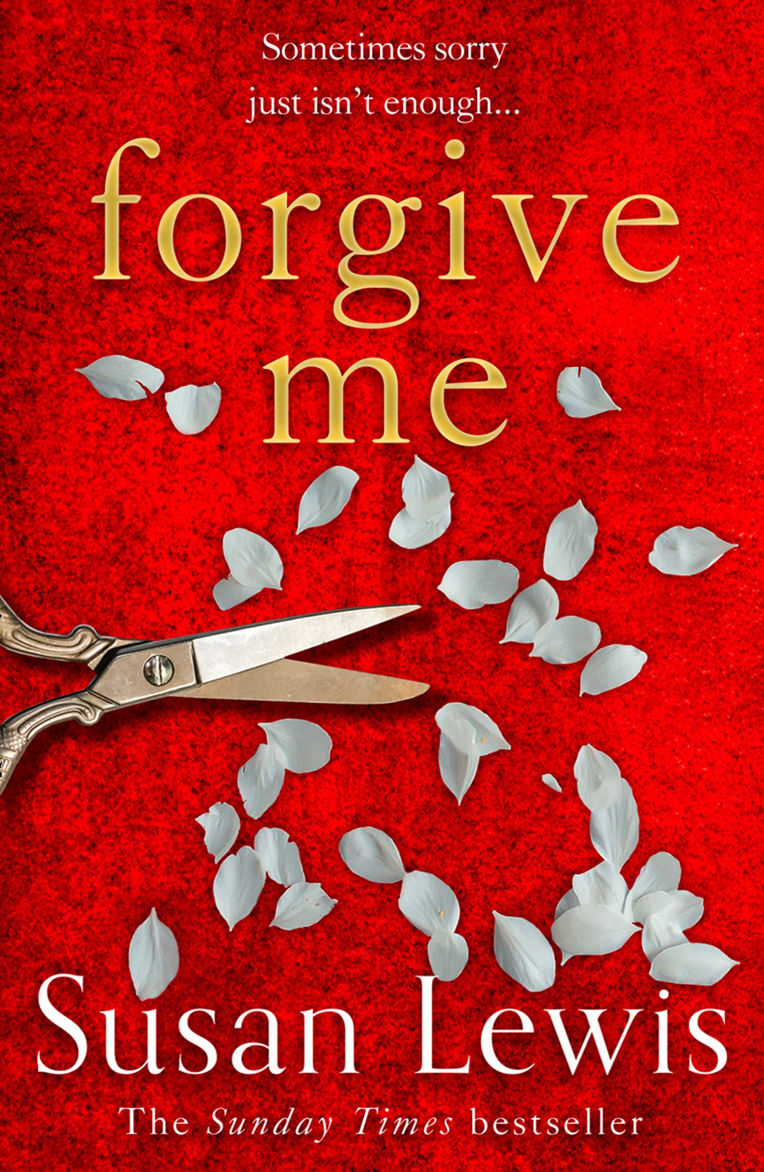 Forgive Me book by Susan Lewis