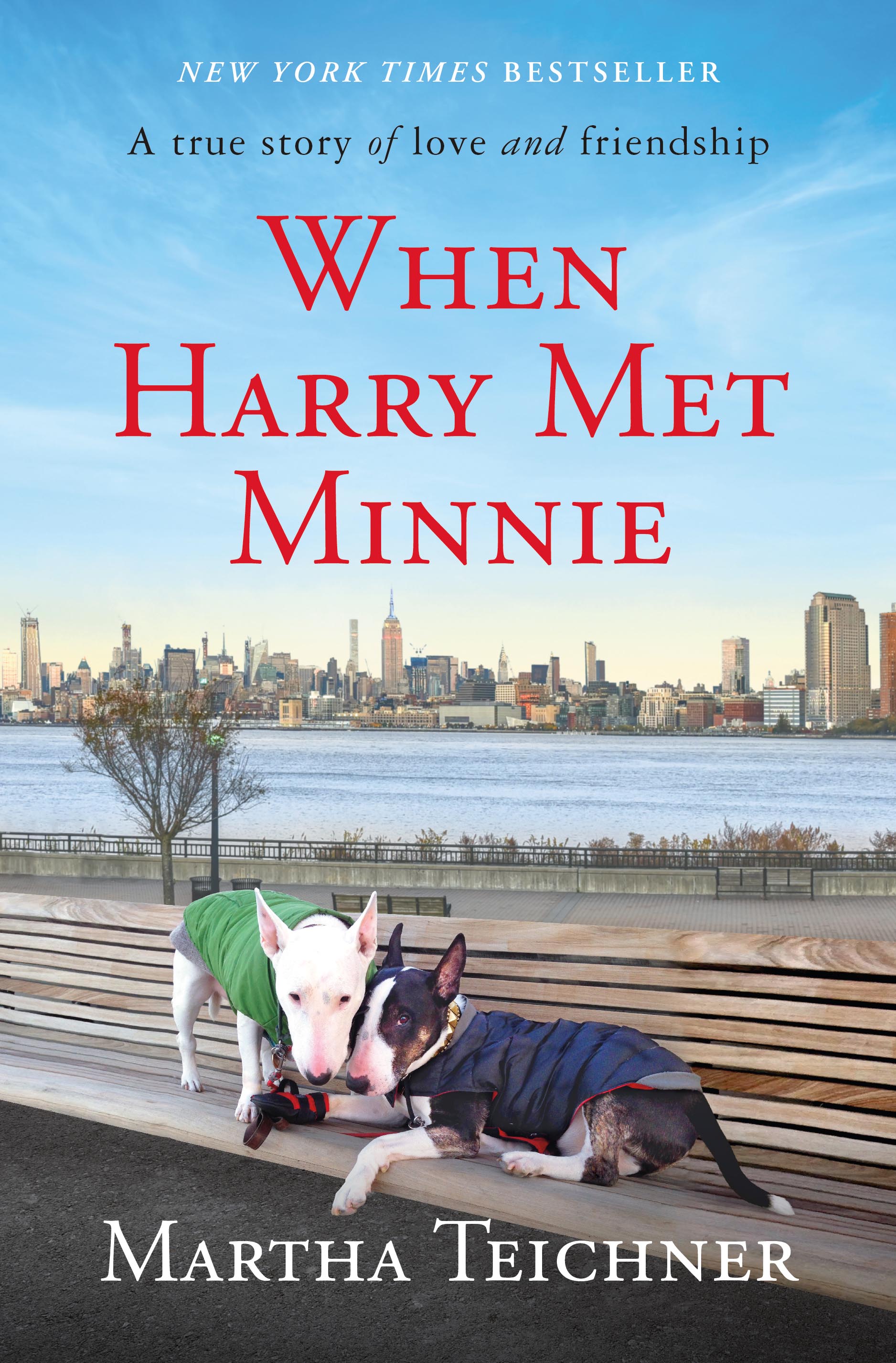 When Harry Met Minnie: A True Story of Love and Friendship book by Martha Teichner