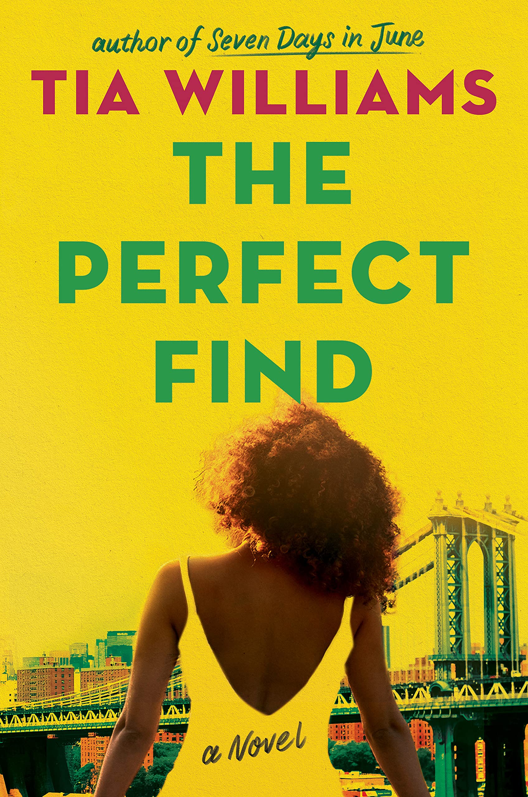 The Perfect Find book by Tia Williams