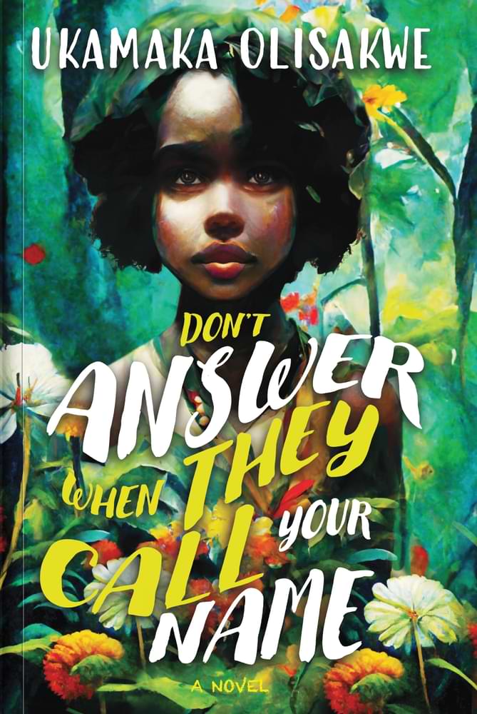 Don't Answer When They Call Your Name book by Ukamaka Olisakwe