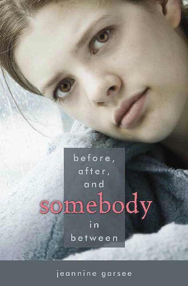Before, After, and Somebody In Between book by Jeannine Garsee