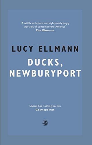 Ducks, Newburyport book by Lucy Ellmann