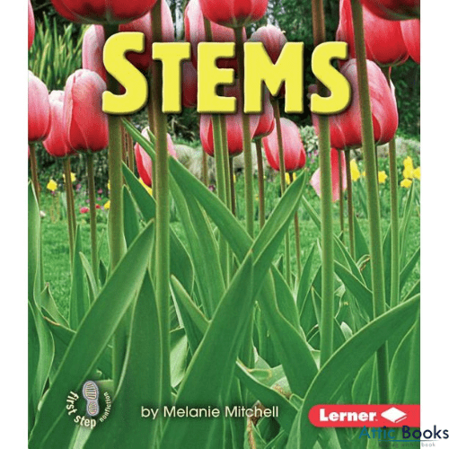 Stems (First Step Nonfiction : Parts of Plants)
