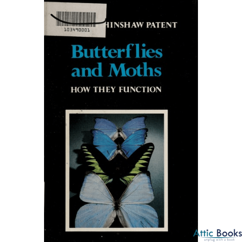 Butterflies and Moths : How They Function