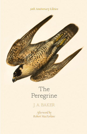 The Peregrine book by J.A. Baker