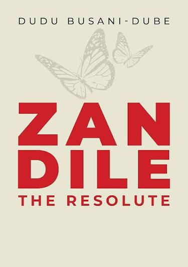 Zandile the Resolute book by Dudu Busani-Dube