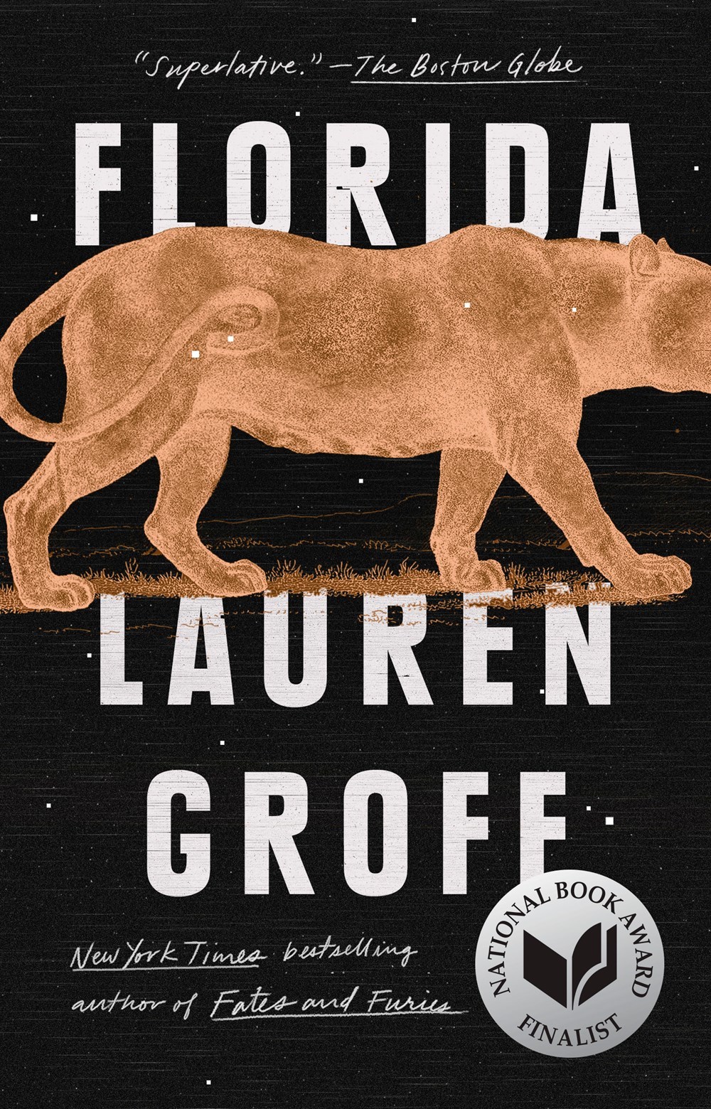 Florida book by Lauren Groff