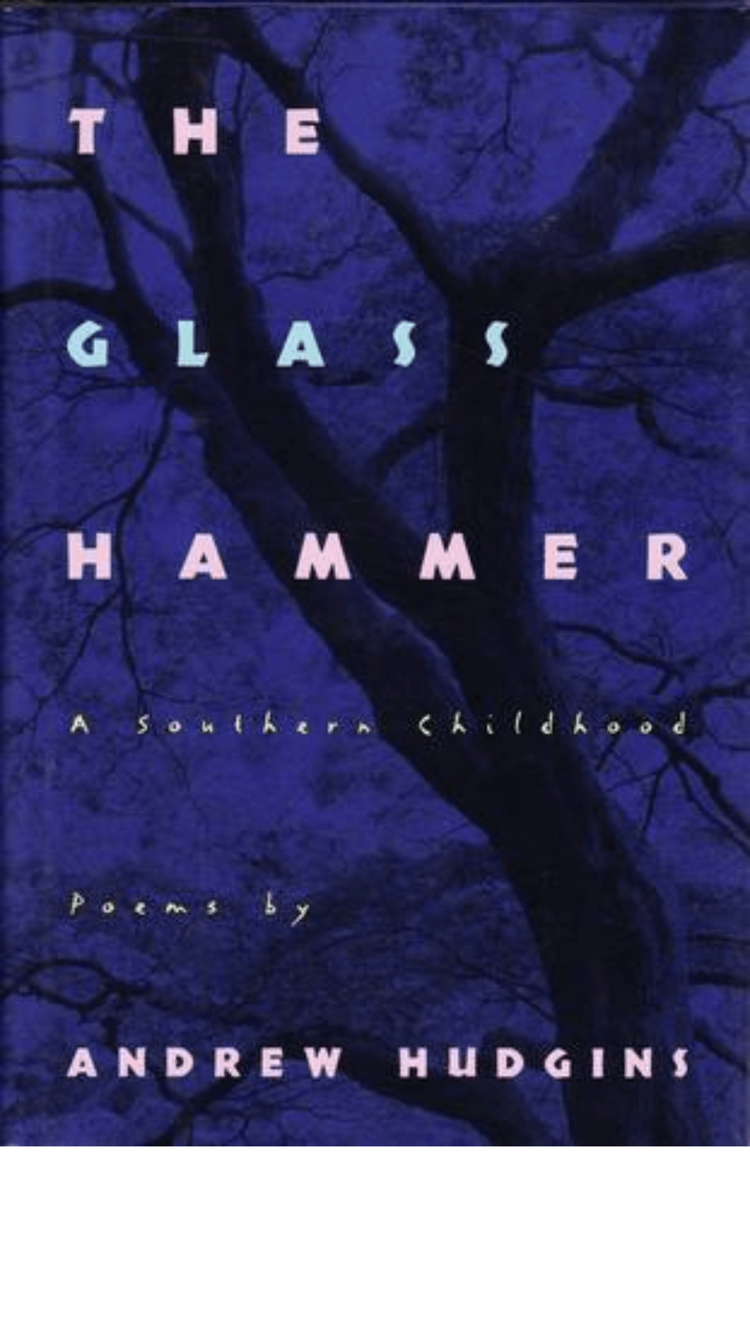 The Glass Hammer : A Southern Childhood