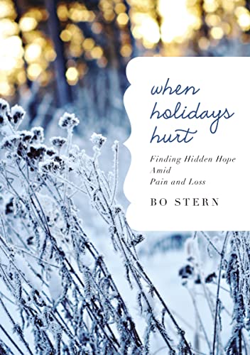 When Holidays Hurt: Finding Hidden Hope Amid Pain and Loss book by  Bo Stern