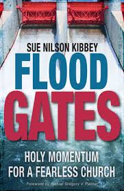 Flood Gates: Holy Momentum for a Fearless Church book by Sue Nilson Kibbey