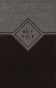 NIV Premium Gift Bible Red Letter Edition [Black/Grey]