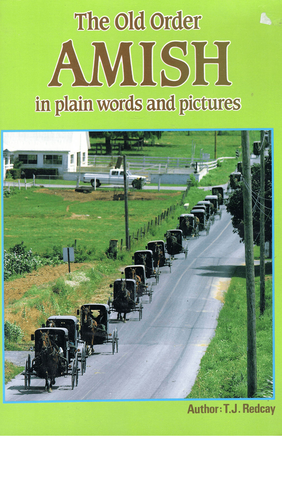 The Old Order Amish in Plain Words and Pictures