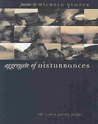 Aggregate of Disturbances