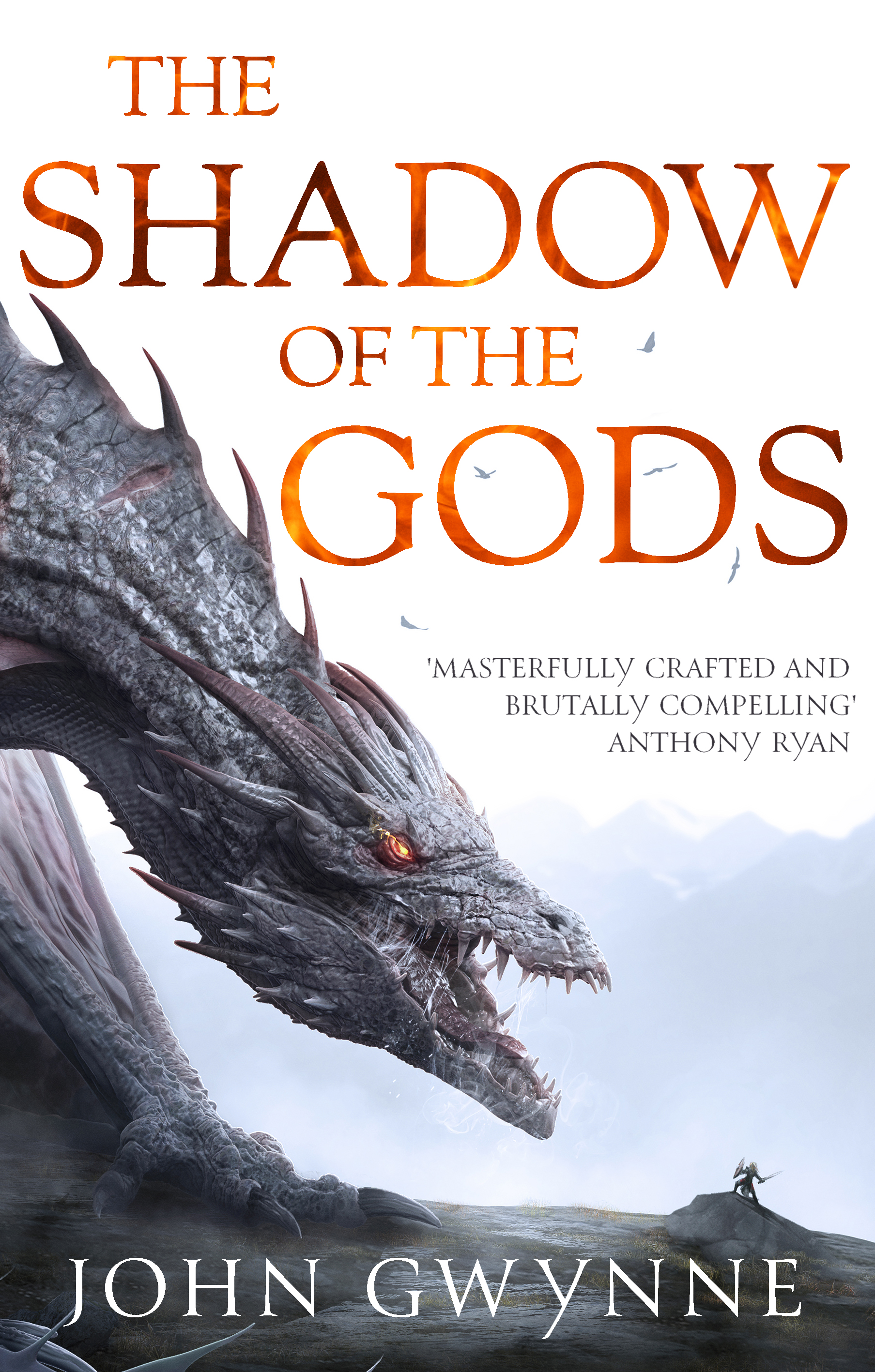 Bloodsworn Saga #1: The Shadow of the Gods book by John Gwynne