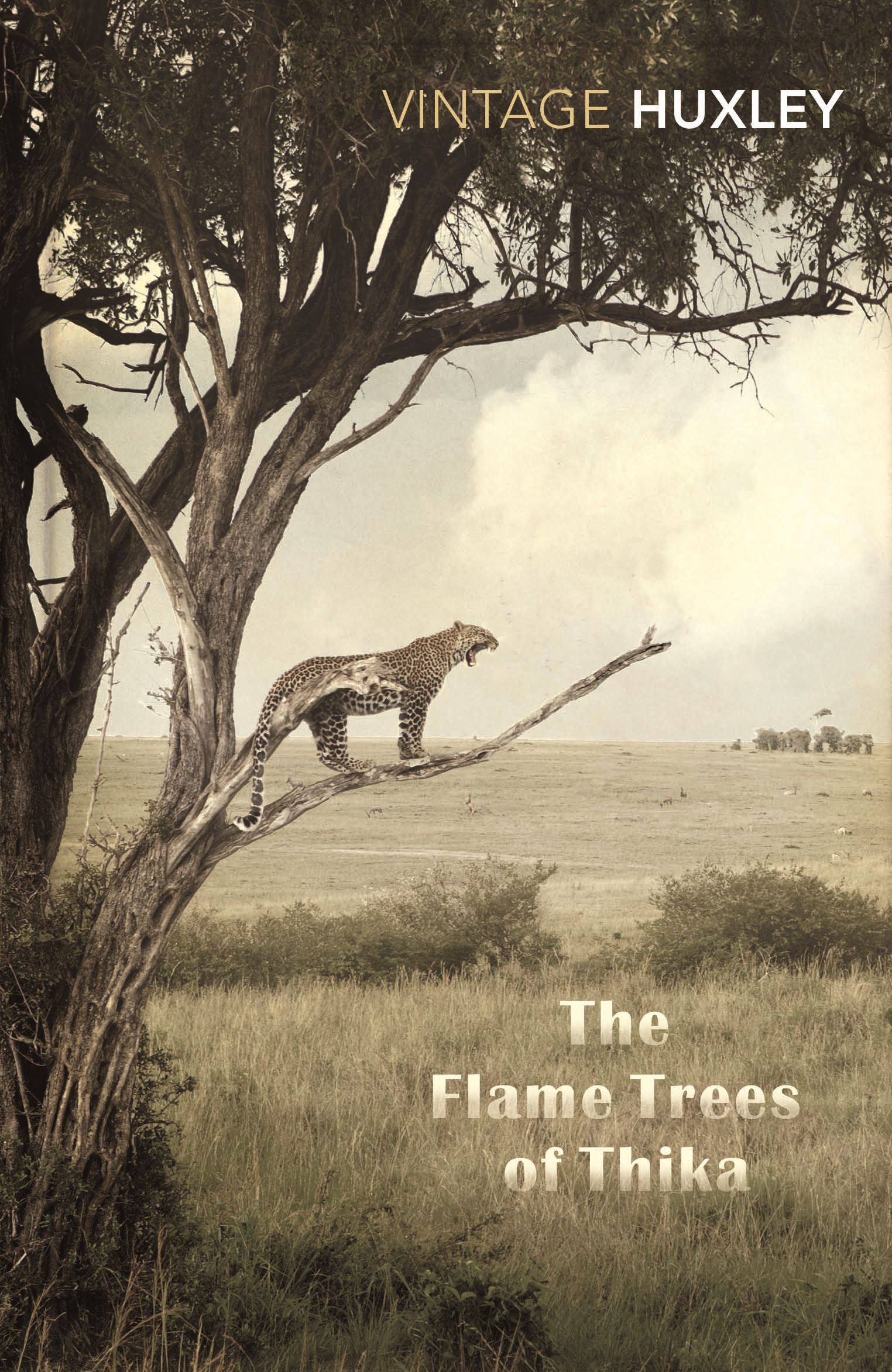 The Flame Trees of Thika: Memories of an African Childhood book by Elspeth Huxley