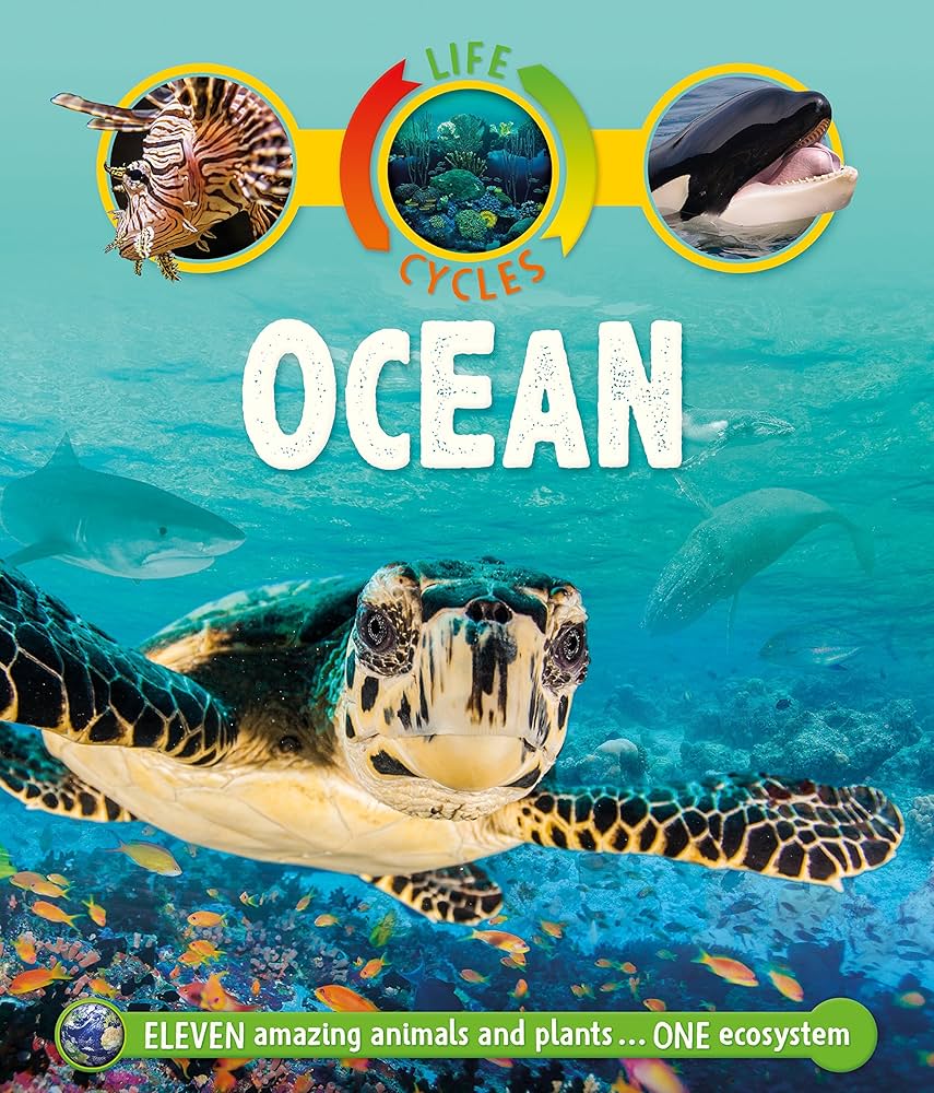 Life Cycles: Ocean book by Sean Callery