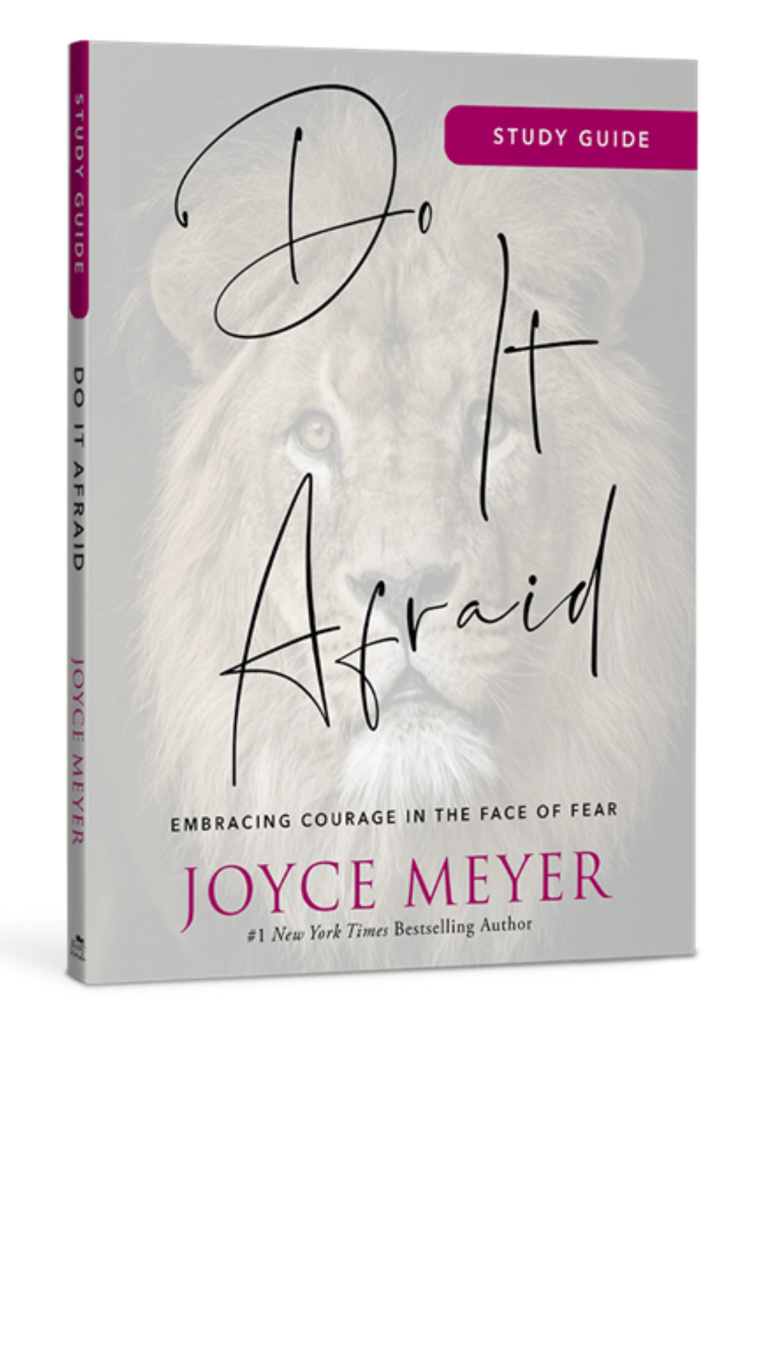 Do It Afraid Study Guide (Study Guide) : Embracing Courage in the Face of Fear