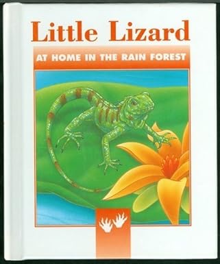 Little Lizard book by Jennifer Boudart