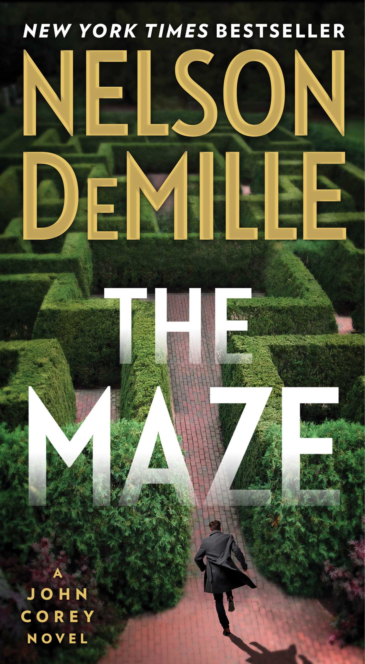 The Maze book by Nelson DeMille