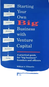 Starting your own Big Business with Venture Capital