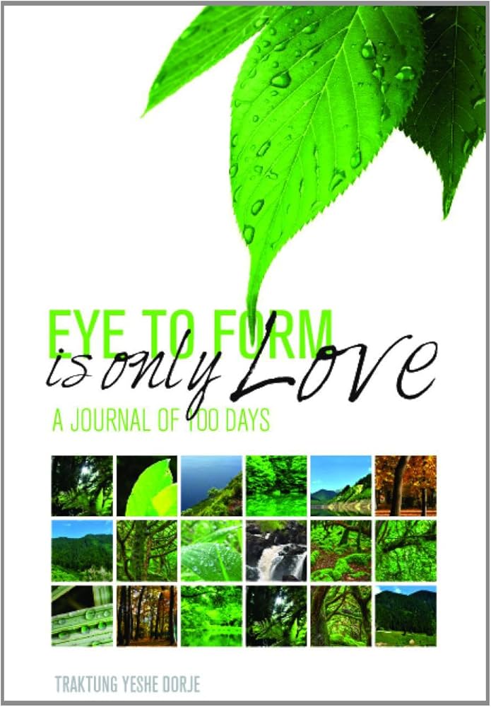 Eye to Form is Only Love : A Journal of 100 Days