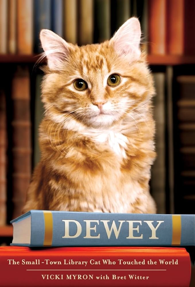 Dewey : The Small-Town Library Cat Who Touched the World