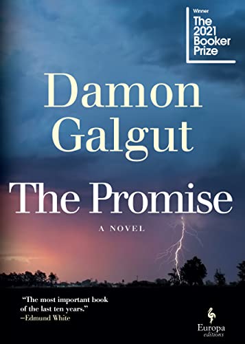 The Promise book by Damon Galgut