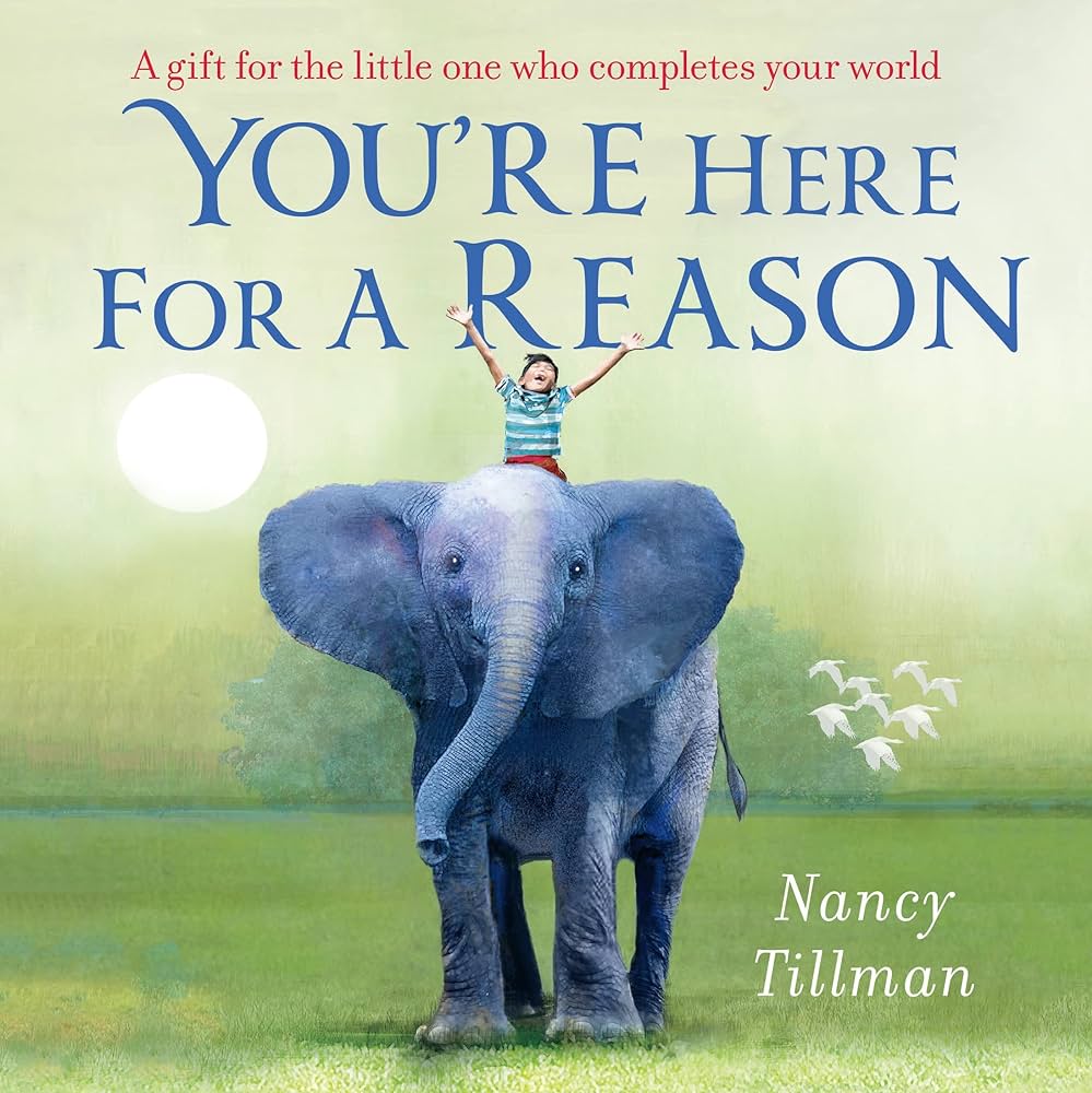 You're Here for a Reason book by Nancy Tillman