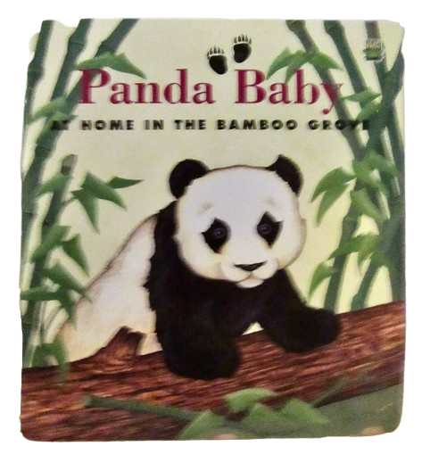 Panda Baby book by Sarah Toast