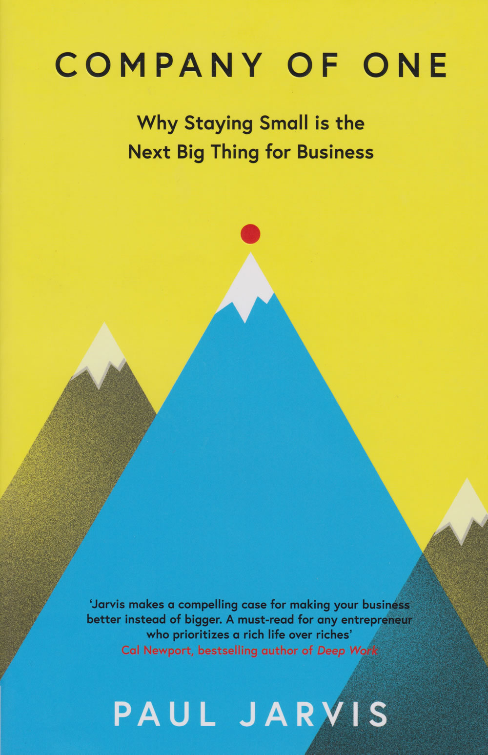 Company of One: Why Staying Small Is the Next Big Thing for Business book by Paul Jarvis