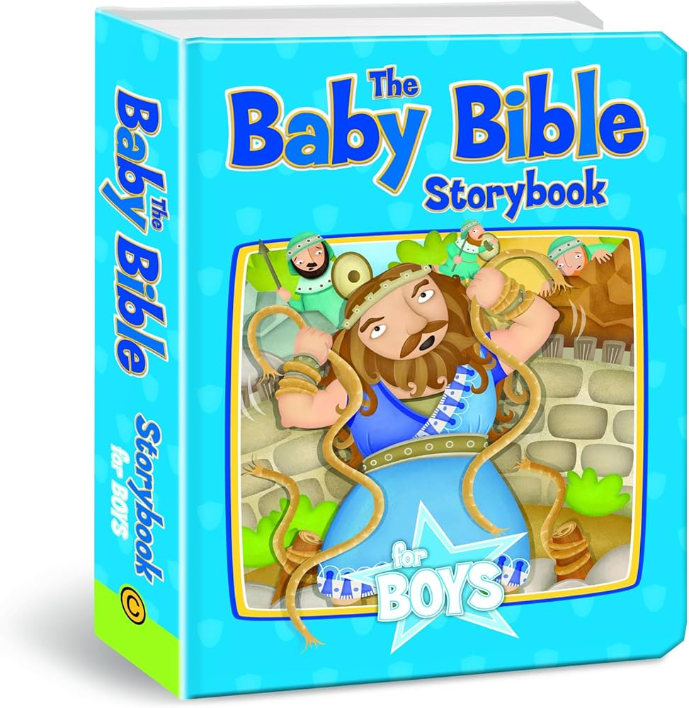 The Baby Bible Storybook for Boys book by Robin Currie