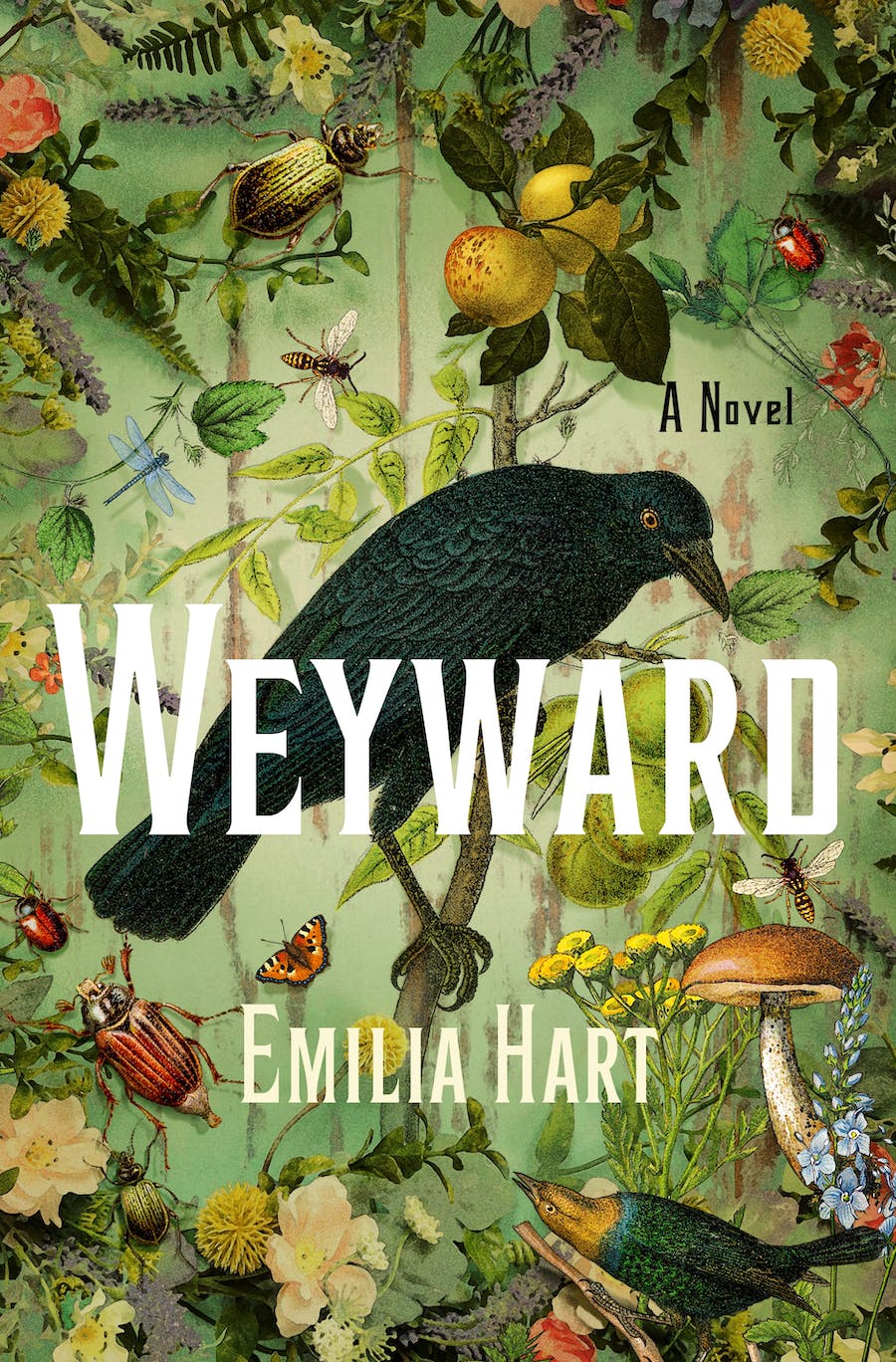 Weyward book By Emilia Hart