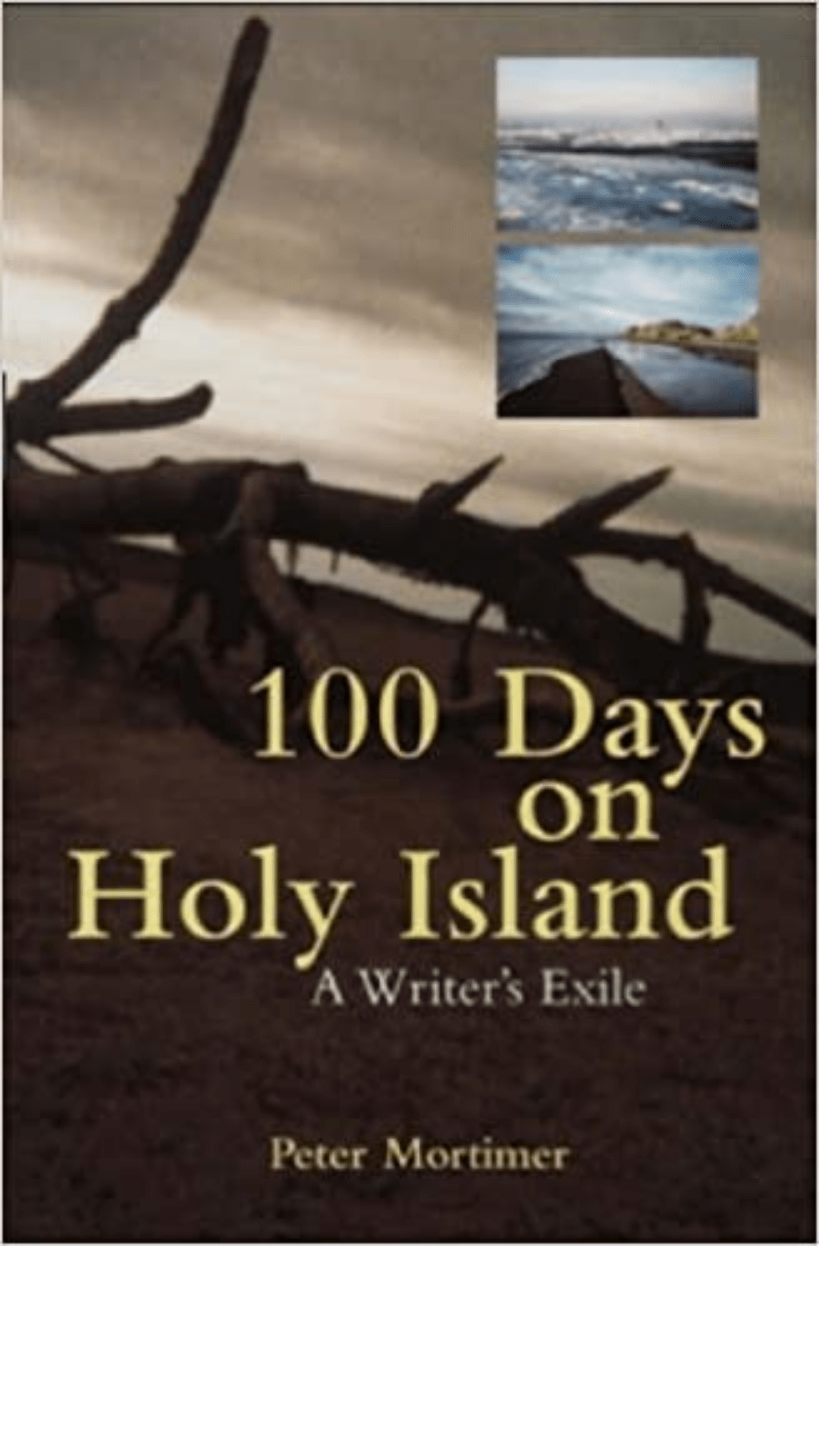 100 Days on Holy Island: A Writer's Exile