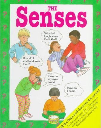 The Senses : A Lift-The-Flap Body Book