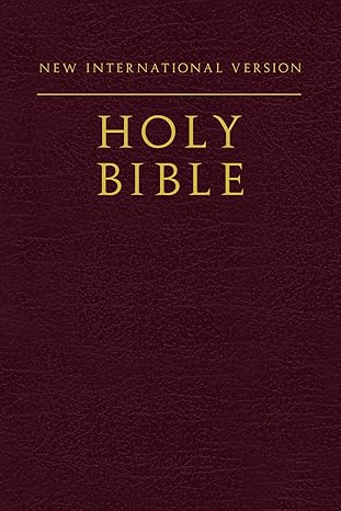 NIV, Holy Bible, Compact, Paperback, Burgundy