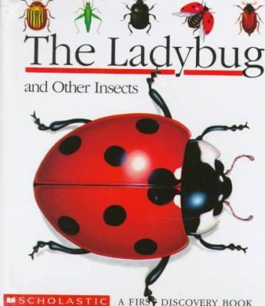 The Ladybug and Other Insects (First Discovery Books)