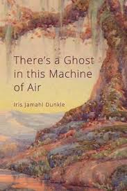 There's a Ghost in This Machine of Air